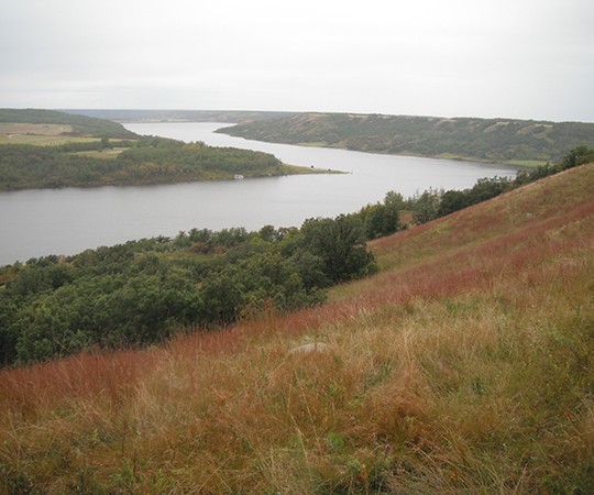 Tall Grass Prairie