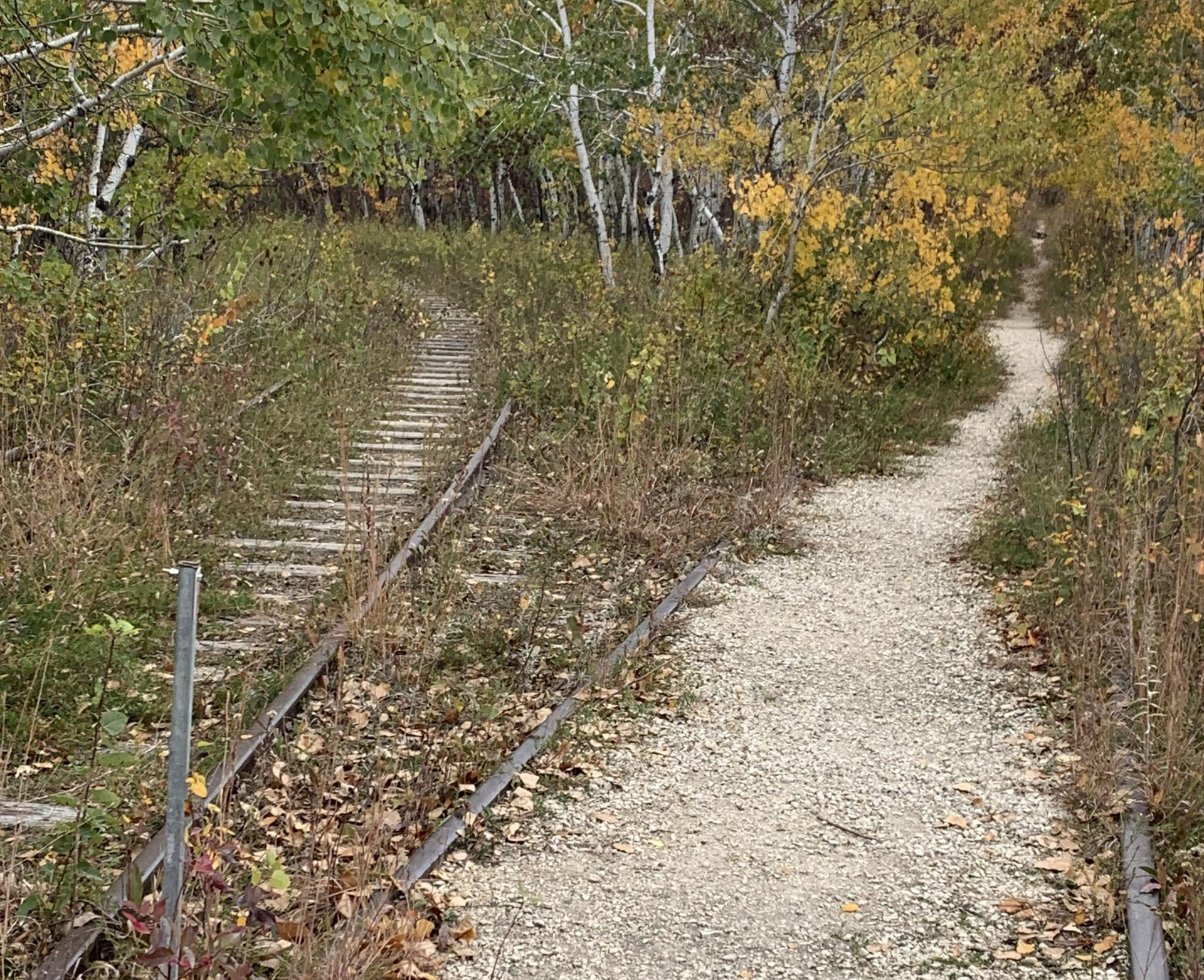Featured image for “PROVINCE INVESTS $7 MILLION FOR CREATION, MAINTENANCE AND ENHANCEMENT OF MANITOBA TRAILS”