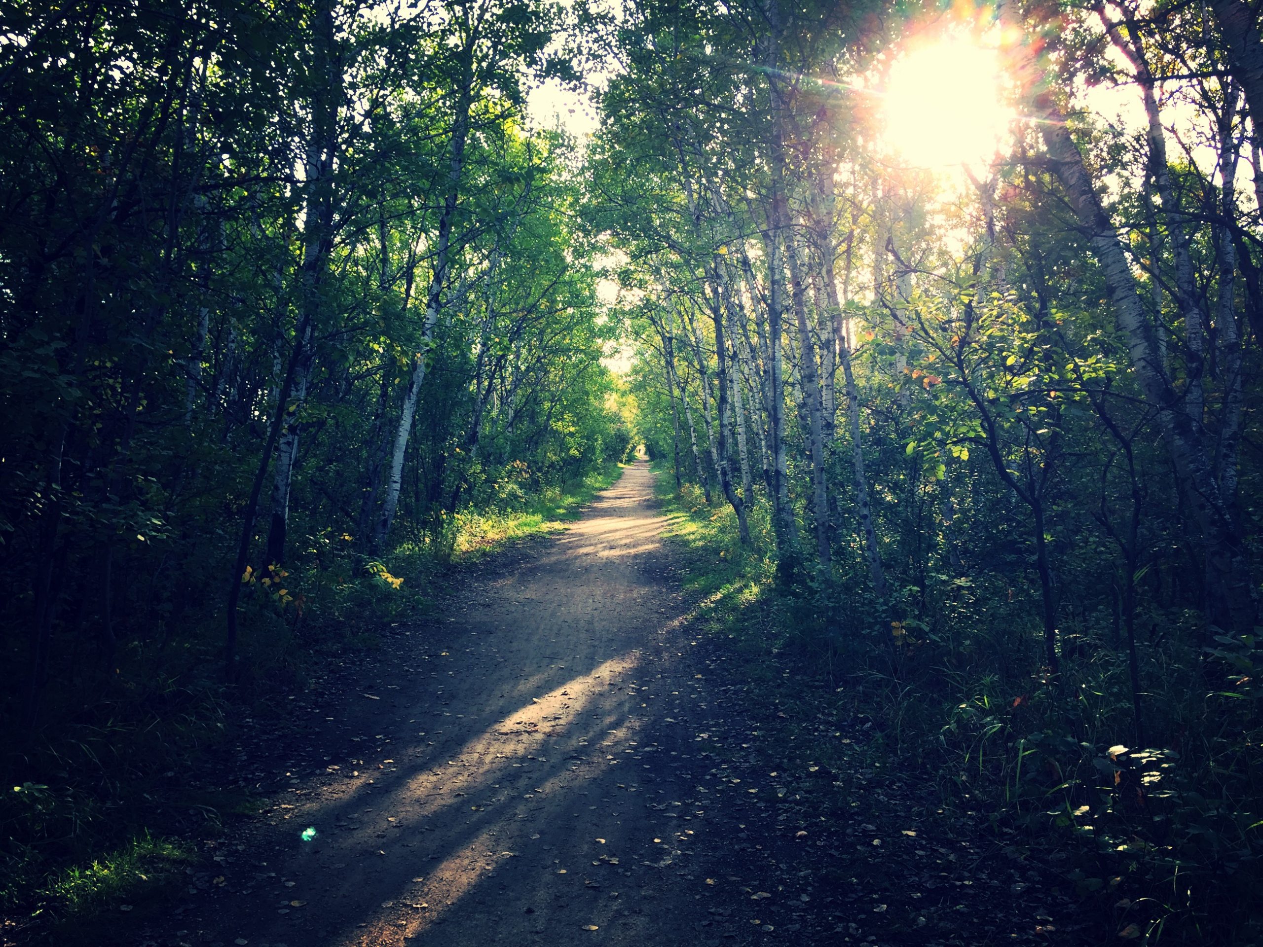 Featured image for “PROVINCE INVESTING ADDITIONAL $2.5 MILLION IN TRAILS TO SUPPORT OUTDOOR RECREATION OPPORTUNITIES FOR MANITOBANS”