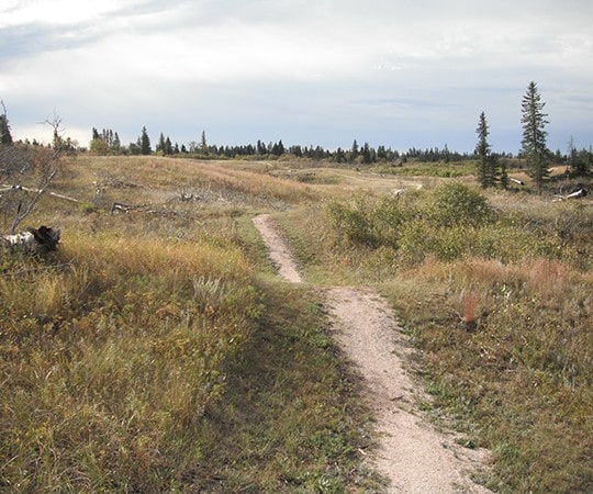 Glenboro South Cypress Trail