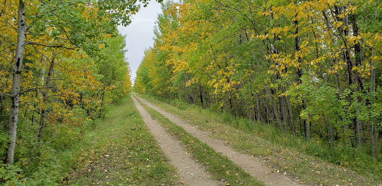 Rossburn Subdivision Trail