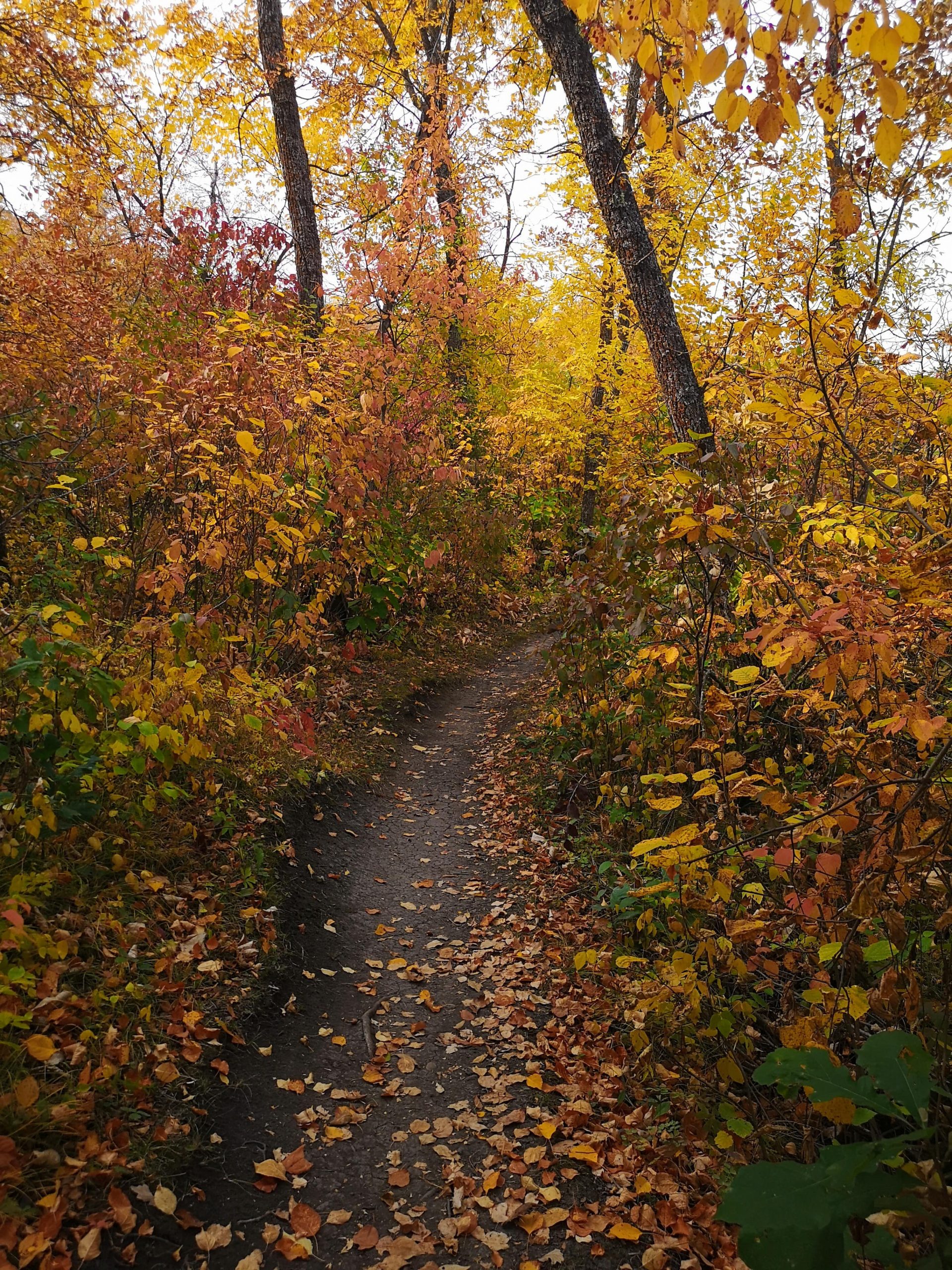 Victoria Beach Trail